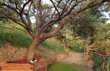 Il Ciuffo: ampia casa panoramica con parcheggio. - Foto 12