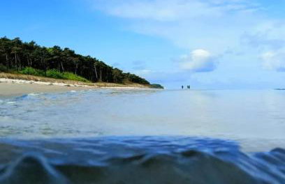 Szare Stodoły Domki - Foto 37