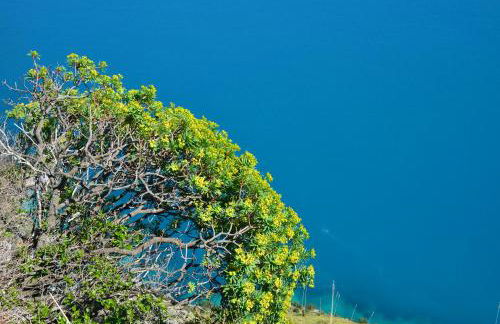 TRE BORGHI - Foto 57