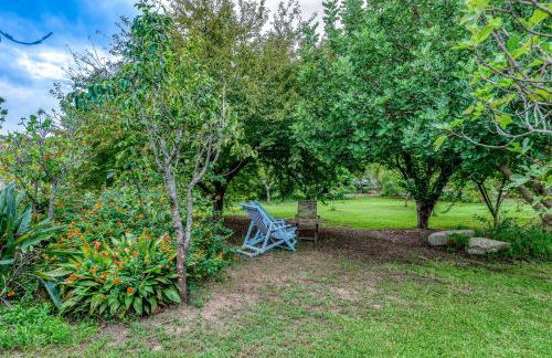 Masseria Copertini - Foto 23