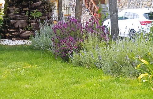 Vicario etxea - Foto 3