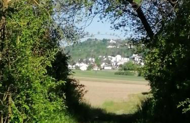 Souterrainwohnung - Foto 12