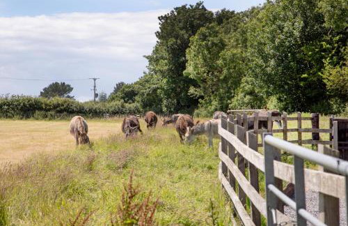 Higher Thorn Barn - Foto 38