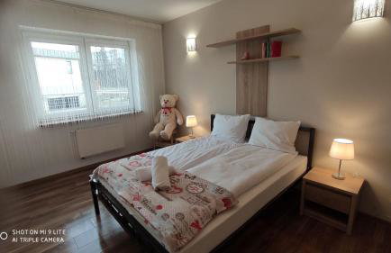 LuxApartament 2 - z dużym tarasem i garażem w nowym Zeta Park - Photo 10