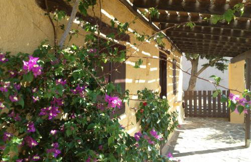 Koutsounari Traditional Cottages - Foto 131