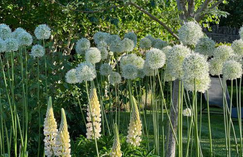 Culls Cottage, - Foto 52