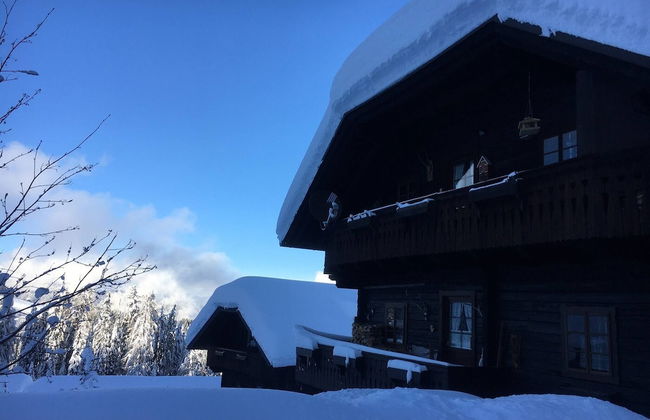 Alma Apartment in Sonnleitn Am Nassfeld at 1484m - Photo 19