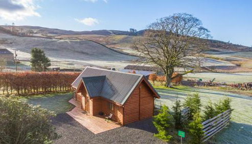 Wildcat Lodge - Foto 2