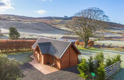 Wildcat Lodge - Foto 2