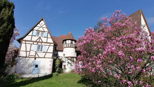 Maison Kobold XVIè siècle - Foto 2, Garden, Garden view