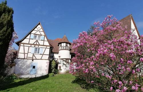 Maison Kobold XVIè siècle - Foto 2