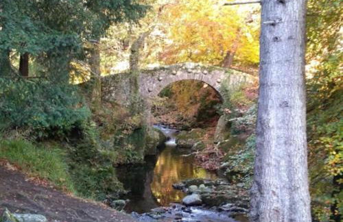 Tuck Mill Cottage - Foto 10