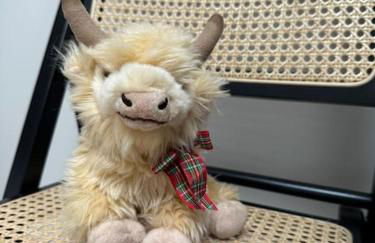 Nᴼ 21 Beautiful Cosy Modern Traditional Cottage - Photo 11