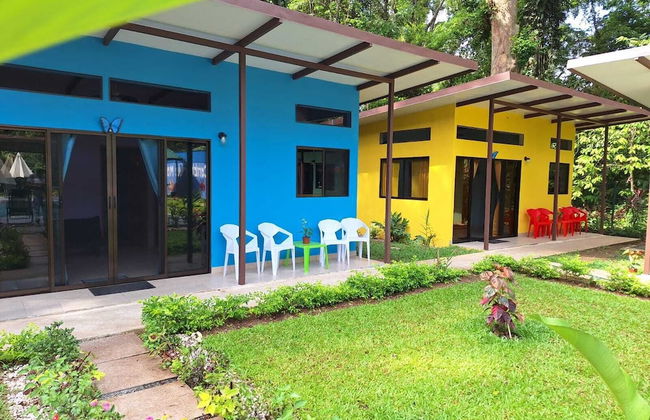 Caribbean Blue Morpho - Foto 10