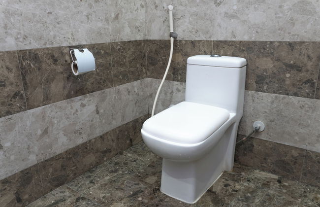 Dyar Sultana - Foto 26