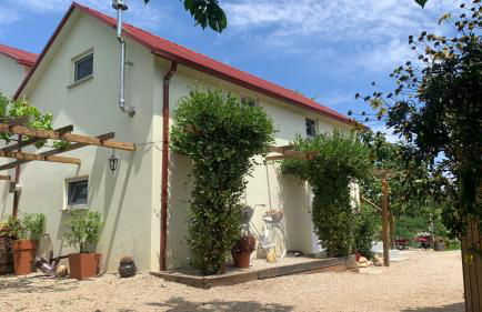 Quinta Vale Salgueiro - Foto 36