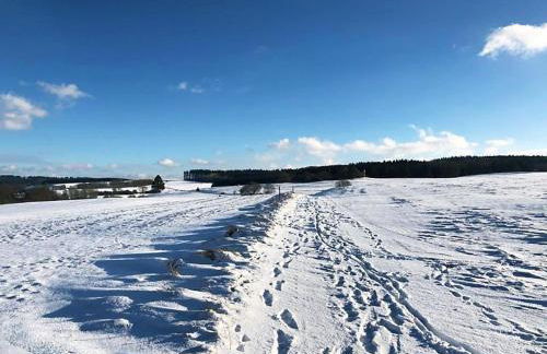 Ferienhaus NettersHäuschen in Nettersheim, Eifel - Photo 29