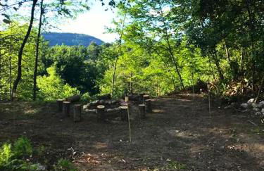 Rare River Views & Access, Cabin by Eden Islands - Foto 53