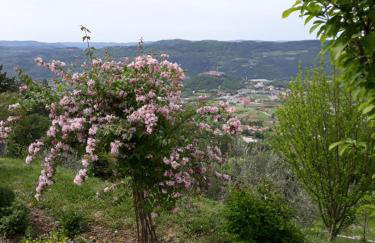 Apartment Finderli - Photo 33