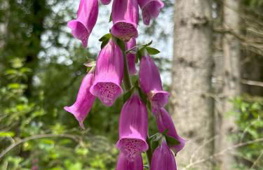 Le refuge de Chambord - Photo 20