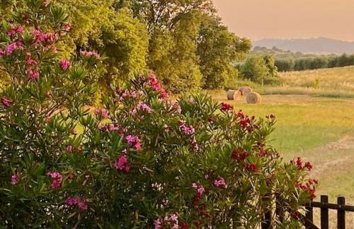 Podere Ainzara - Foto 9