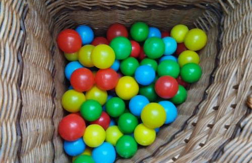 ZALASEK Gospodarstwo Agroturystyczne z Alpakami - Foto 26