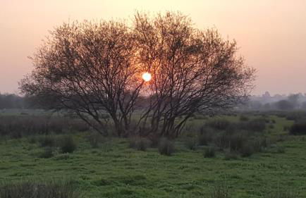Entre Ciel et Marais - Foto 72