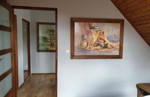 Chata pod Śnieżnikiem - Foto 11