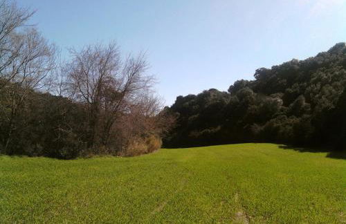 Masseria Strada Agriturismo - Foto 20