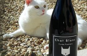 Le Cottage du Chat Blanc - Foto 26