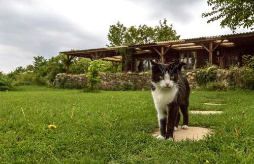 Off grid chalet . HOT TUB & SAUNA. Kid friendly. - Photo 19