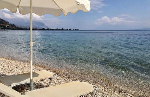 EviaXL Studios - Photo 10