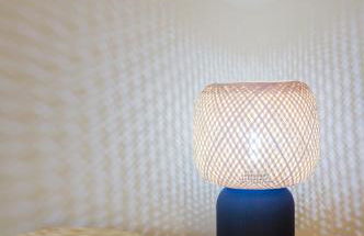 Green house - Foto 23