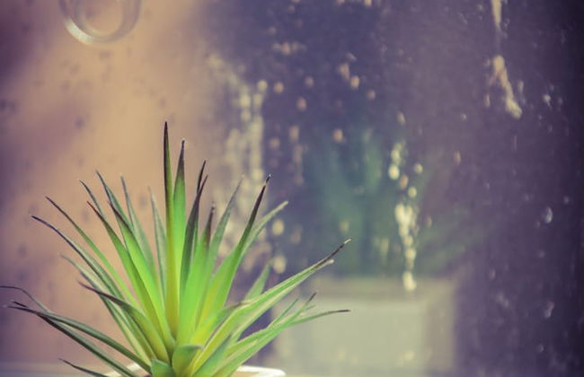 Warren st Apt - Photo 20