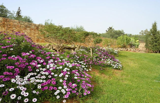 Melitini in Souda With 7 Bedrooms and 6 Bathrooms - Foto 2