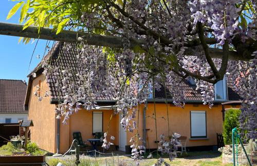 Ferienwohnung mit Garten und Ostseenähe OVS 111 - Foto 20