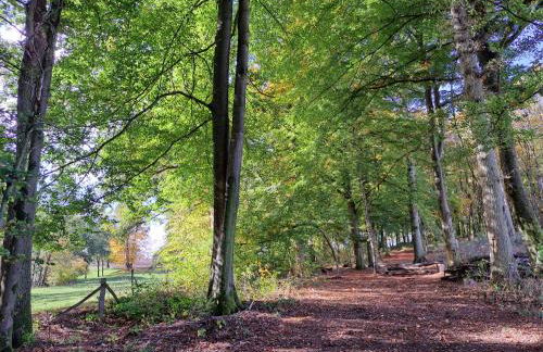 Steewer Landhaus gemütliche Ferienwohnung bis 6 Pers in ruhiger Ortsrandlage - Foto 49