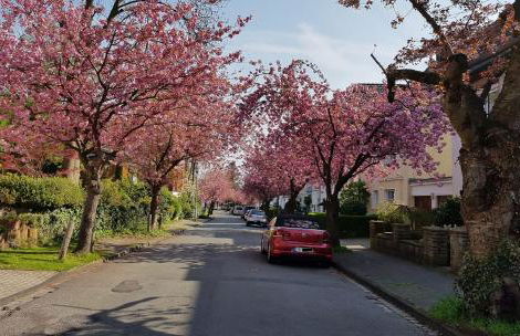 Vierzimmerwohnung am Harkortsee - Foto 23