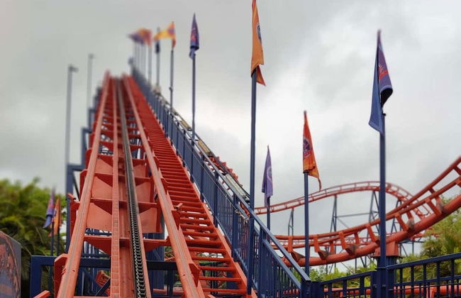 Escursione a Beto Carrero World - Foto 3