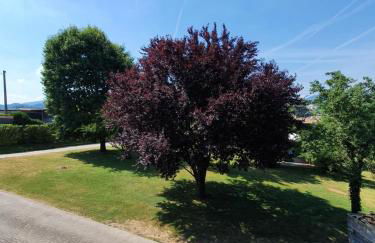 Casa Gina & Jeto - Foto 35