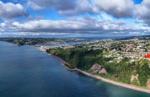 Umbrella Pines - Foto 25