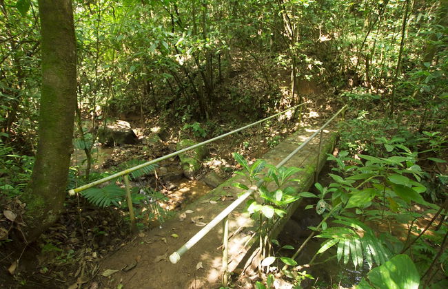 Villas Josipek - Foto 71