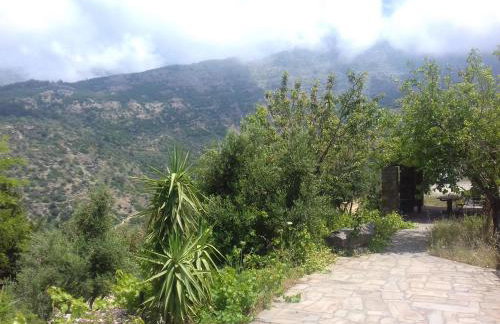 Ikarian Centre - Accommodation & mountain hiking - Photo 23