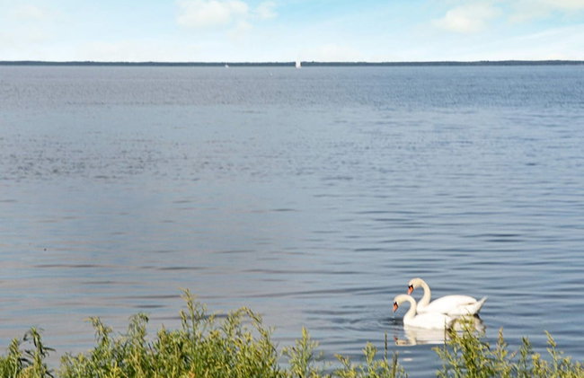 Holiday Home in Mörbylånga - Foto 49