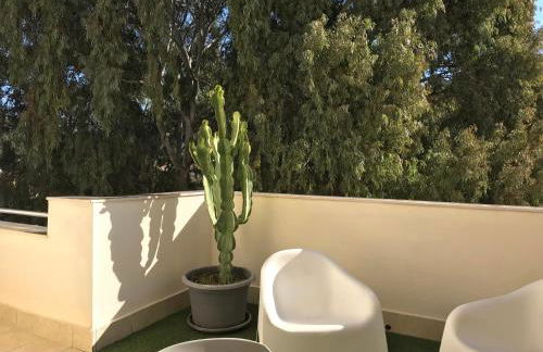 Apartamentos Doña Carmen - Foto 66