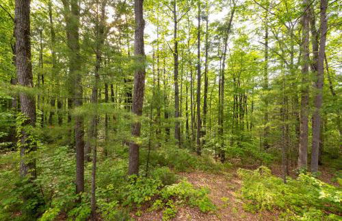 The Cottage at Natures Edge - Foto 53