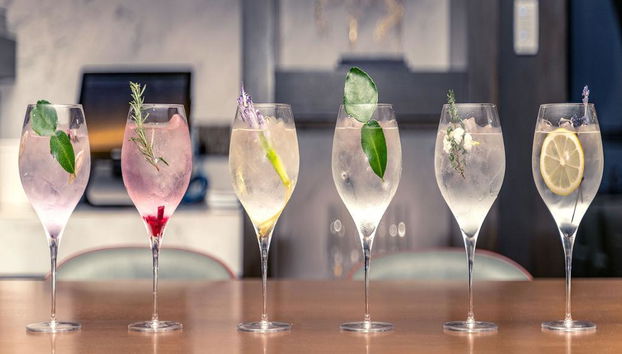 Cambodian Gin Tasting Experience - Photo 2