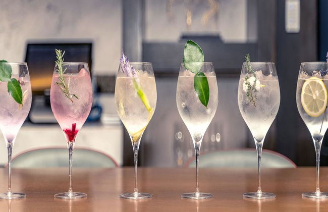 Cambodian Gin Tasting Experience - Photo 2