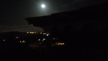 Mar de flores - Foto 4