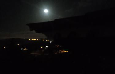 Mar de flores - Foto 4